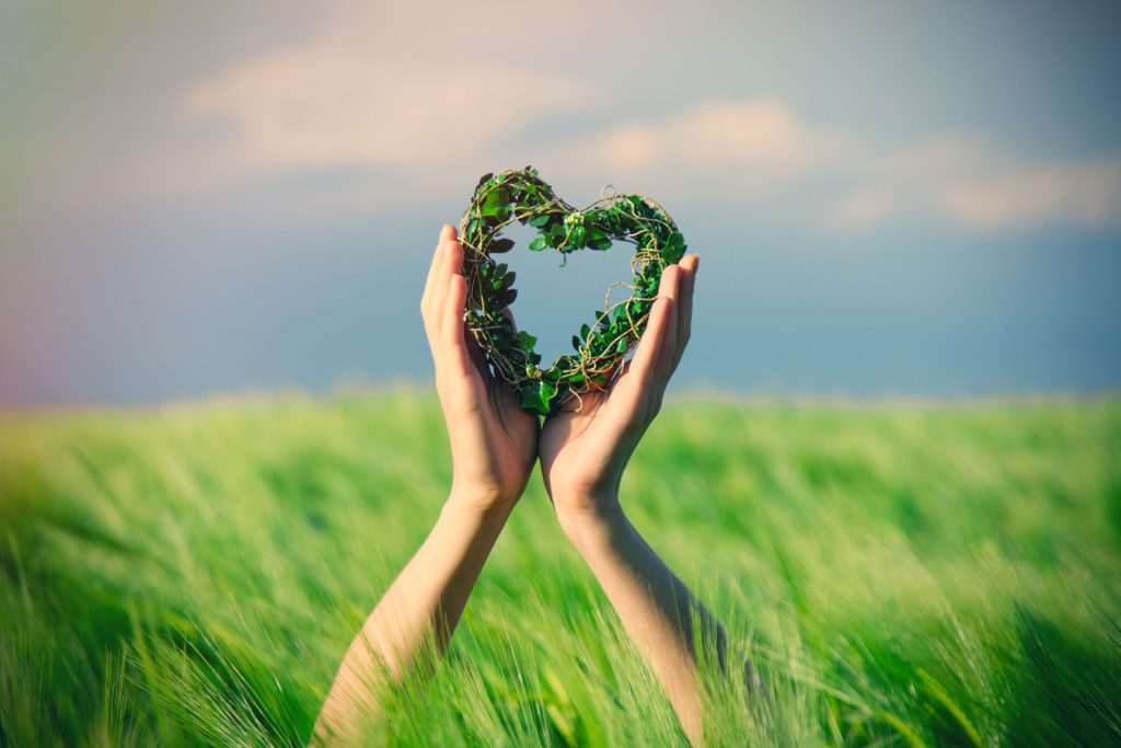 Hands holding a heart made of green leaves against an open sky — representing hope and healing through EMDR trauma therapy in Abbotsford, BC