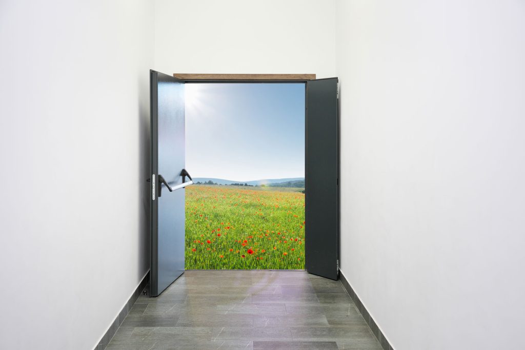 Open door revealing a green field under a blue sky — representing the first step toward EMDR trauma counselling in Victoria, BC